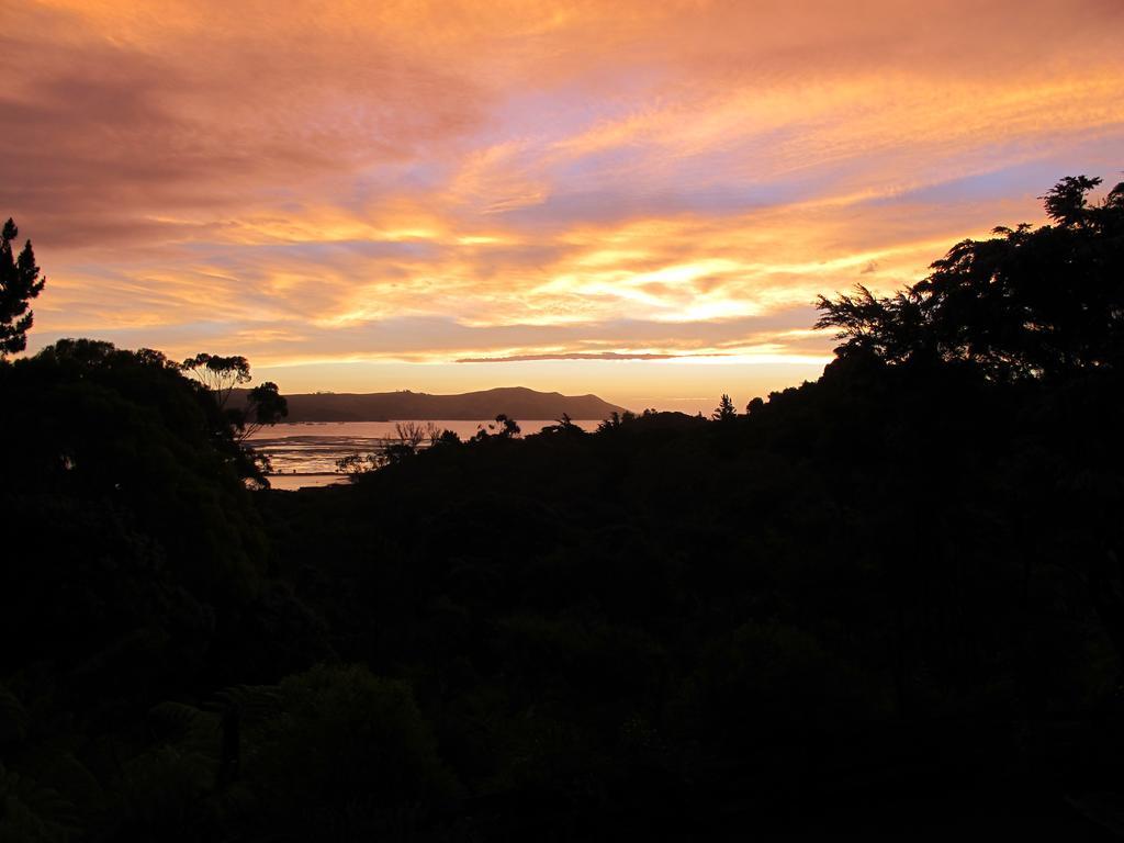 Studio 531 Coromandel Chambre photo